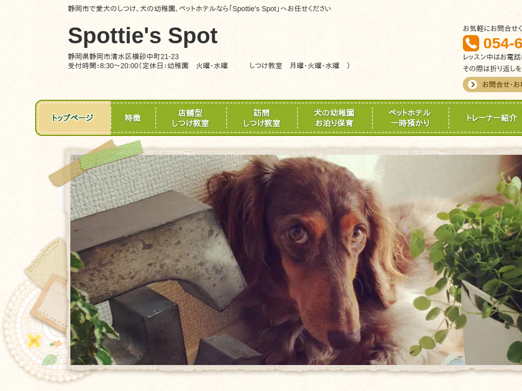 静岡県静岡市の犬のしつけ教室なら「Spottie&#39;s Spot」へ