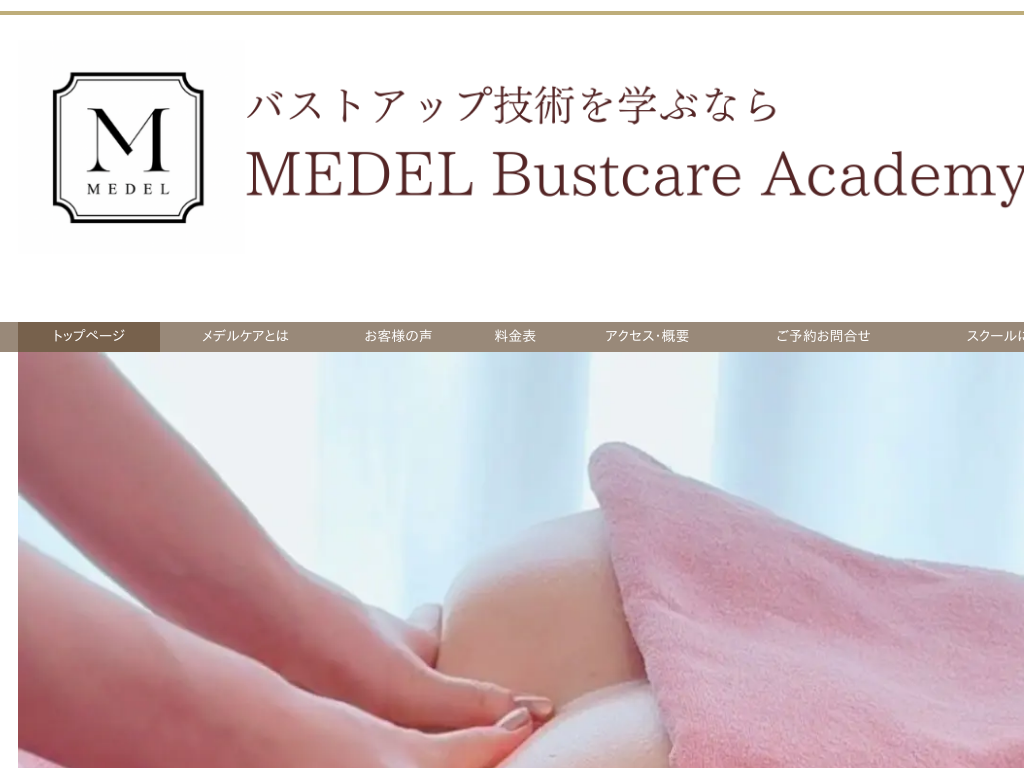 _ސ쌧̃oXgAbvXN[MEDELifj