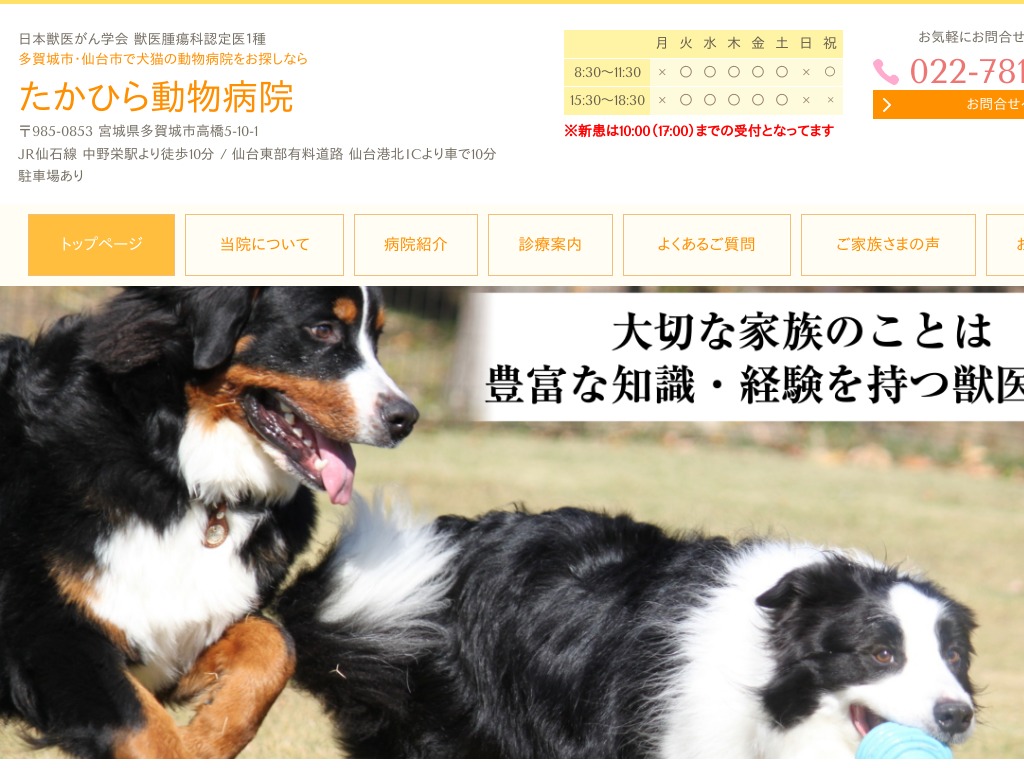 宮城県多賀城市、仙台市の犬猫の動物病院をお探しなら たかひら動物病院
